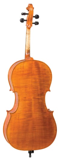 hoffmann_cello_back.jpg